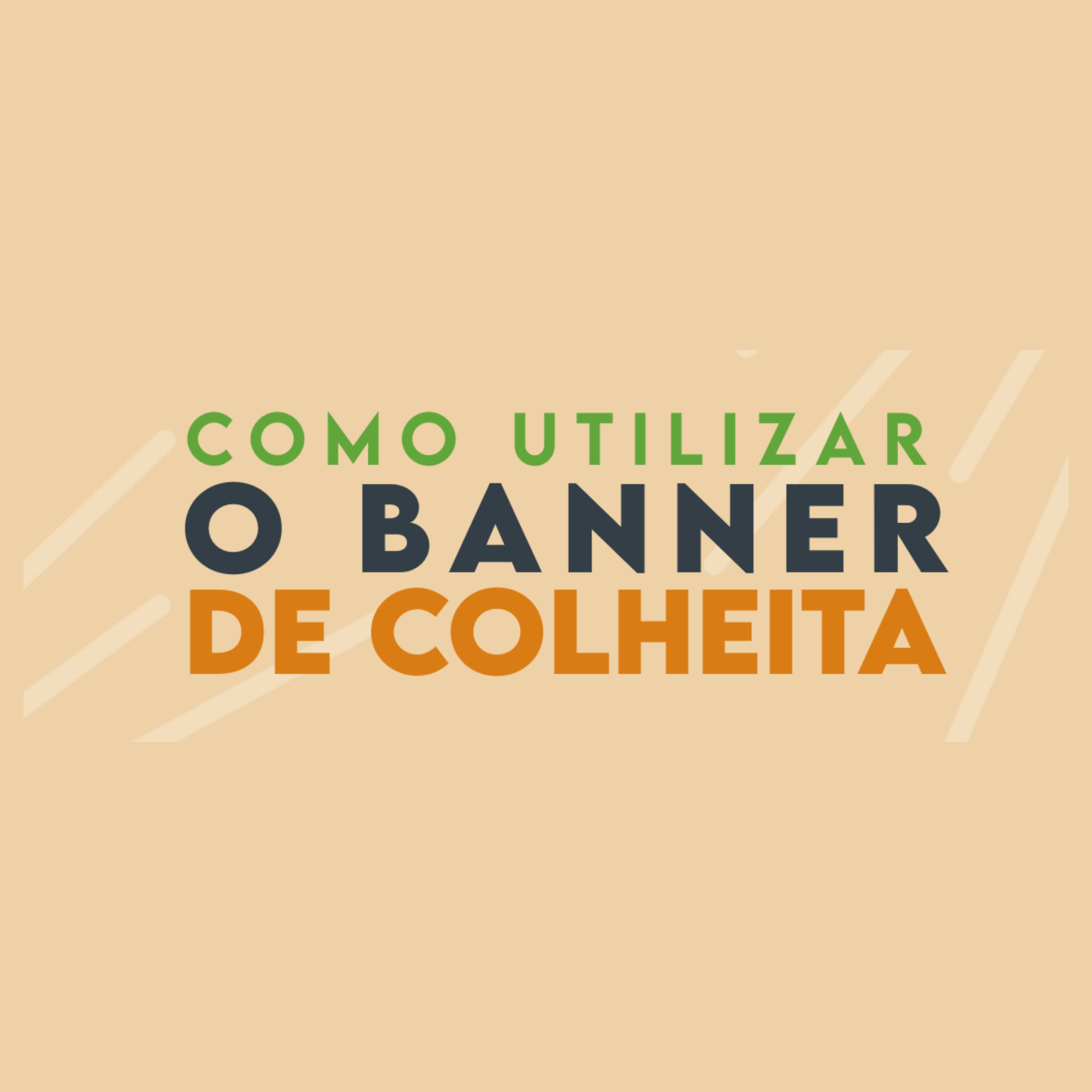 Vídeos