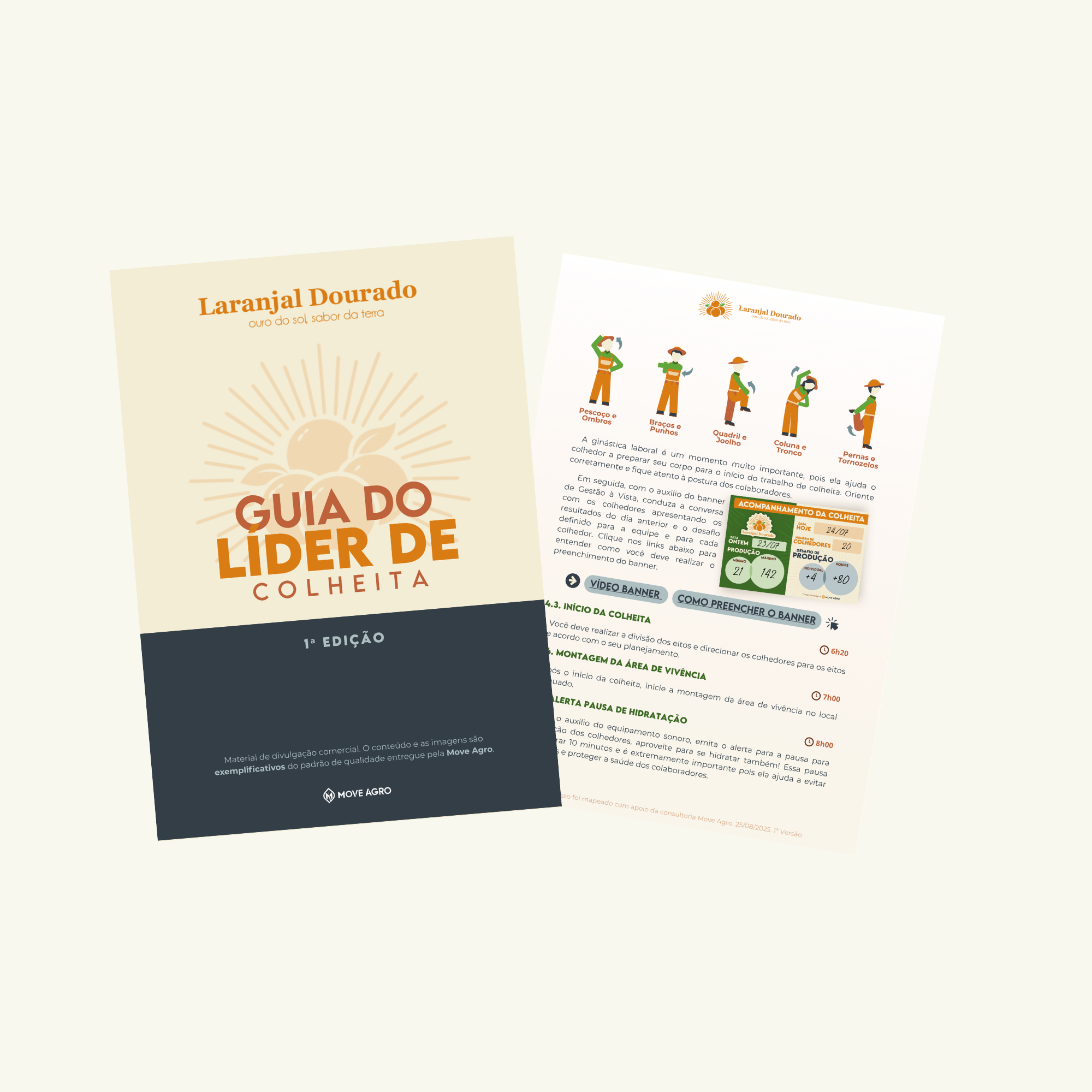 Guias e Procedimentos